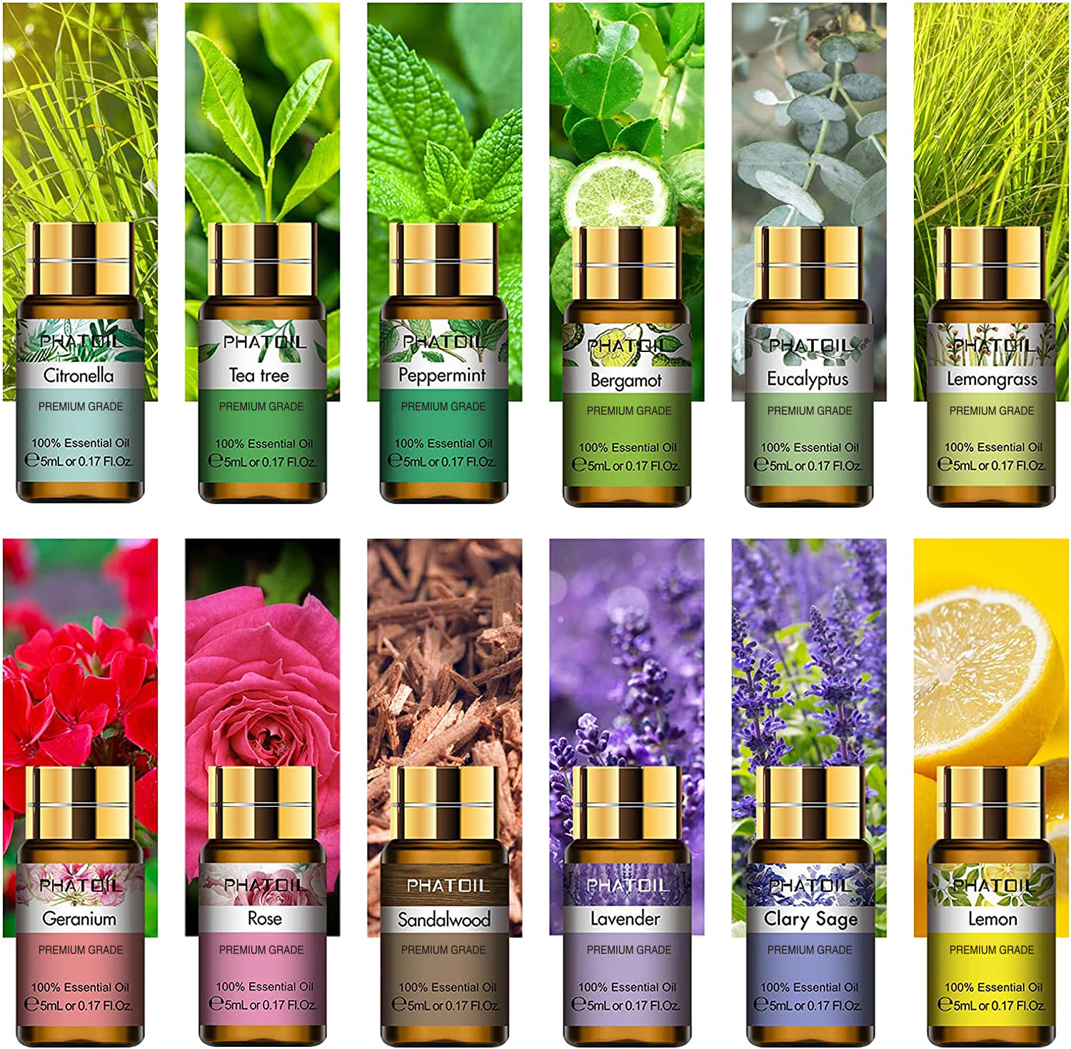 PHATOIL 12pcs Gift Box Pure Es - Spa Wellness Locations review and price
